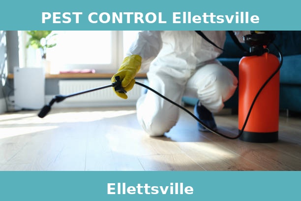PEST CONTROL Ellettsville